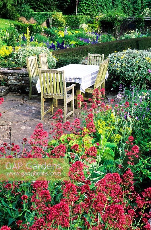 Dining table in upper terrace surrounded by Centranthus - Valerian - High Glanau Manor, Monmouthshire, Wales 
