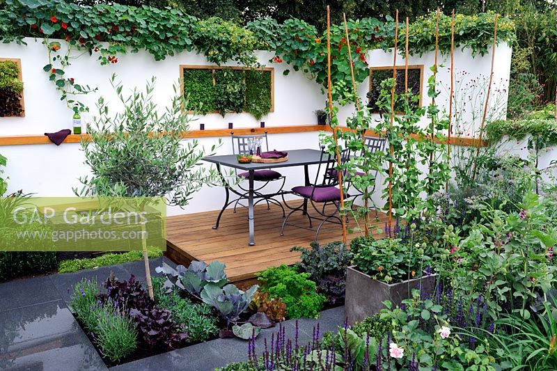 Small contemporary garden with edibles in containers and vertical wall planting of scented herbs. 