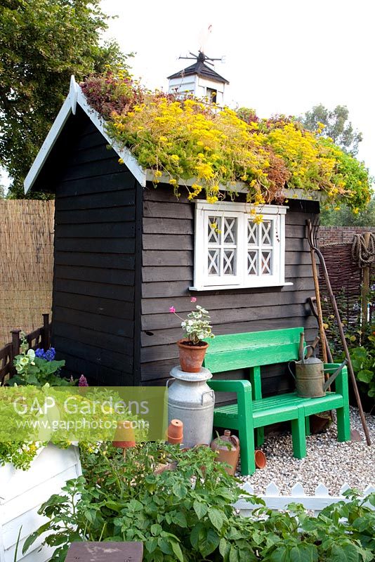 Garden shed with living roof - The Home front garden - Hampton Court 2011 