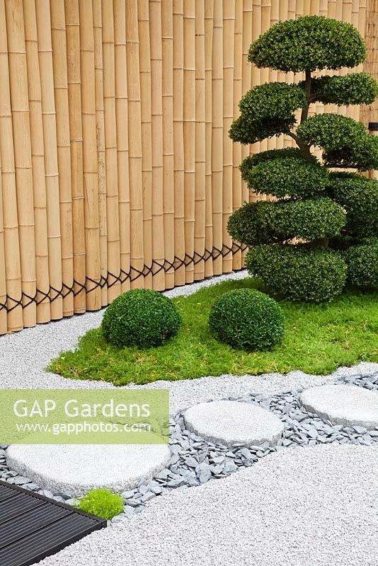 Granite stones and gravel path leading to a wooden area with Cloud-pruned Ilex crenata, Buxus sempervirens balls and bamboo fence in the Japanese themed garden - 'Less and More' garden - RHS Hampton Court Flower Show 2011
 