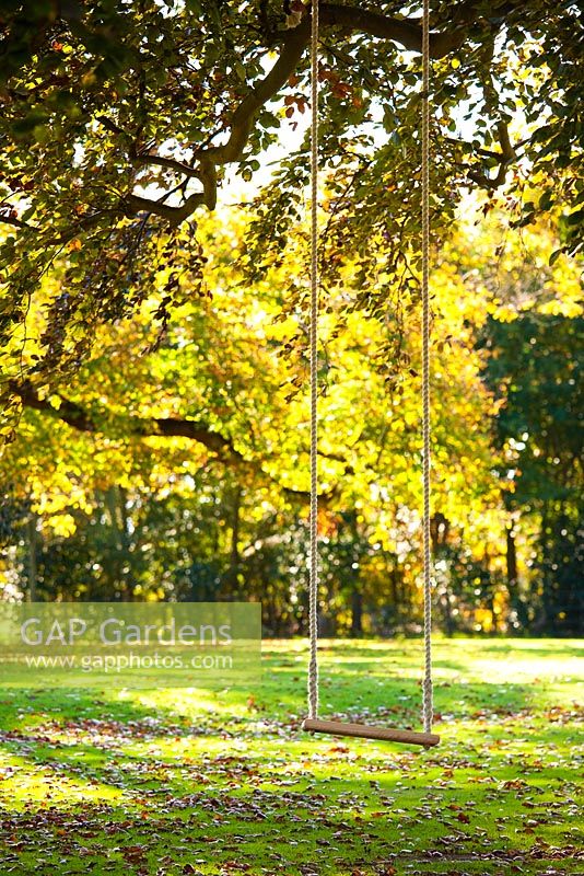 Swing in tree - Hole Park garden, Kent

