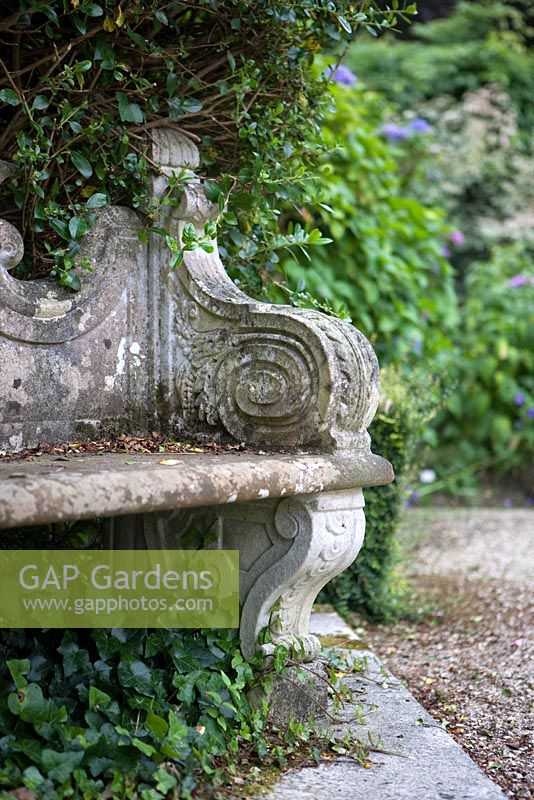 Stone seat with Hedera - Ivy - Bonython Estate Gardens Cornwall 