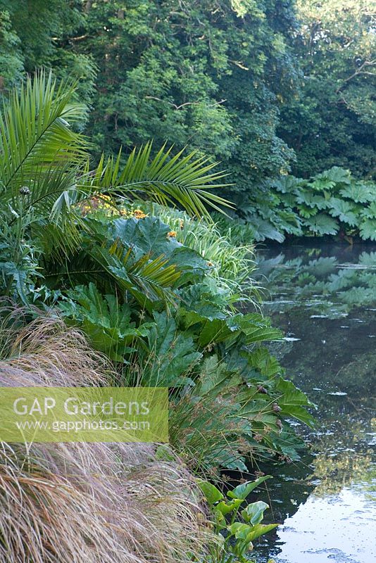 Bonython Estate gardens, Cornwall