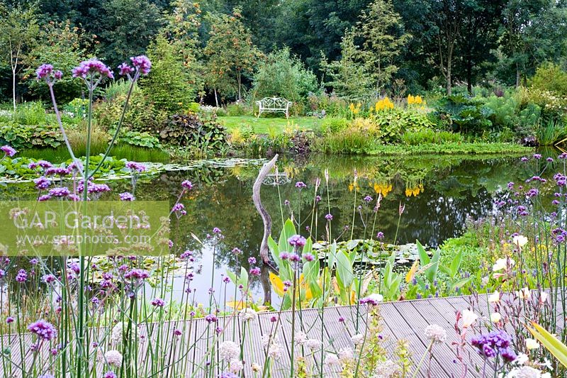 Natural pond with boardwalk and natural sculpture in late summer - Dales Farm, Norfolk NGS
