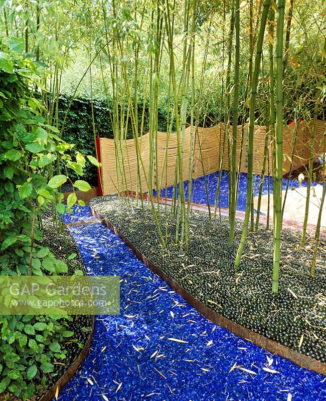 Glass garden - Blue glass and green marbles act as mulch beneath bamboos with rope fencing 