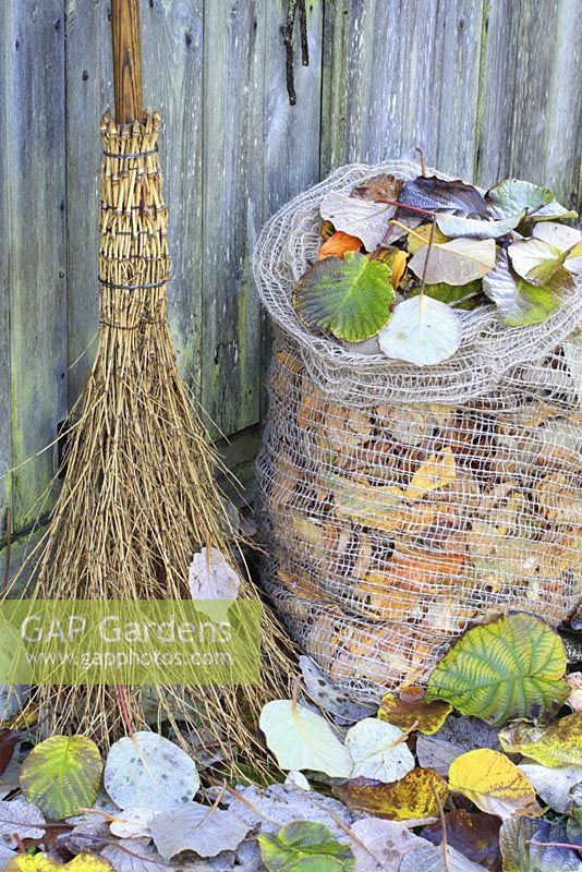Besom broom and biodegradable jute sack full of Actinidia deliciosa leaves, leaning against a wooden shed