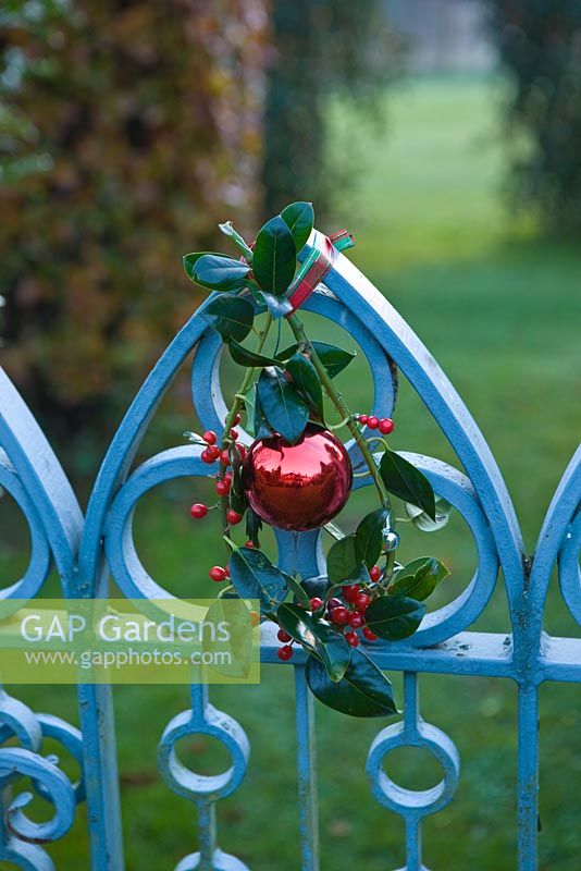 Blue metal gate decorated with bauble and Ilex 'J C Van Tol' - Holly sprig