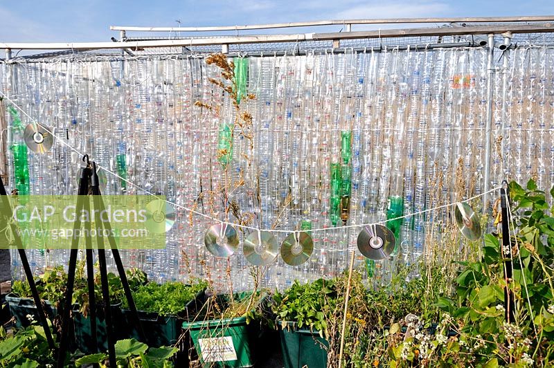 Greenhouse made from recycled plastic bottles with a row of CDs used as bird scarers along with vegetables growing in recycling bins. FOOD from the SKY a permaculture food growing and educational initiative on the roof top of Thornton's Budgens supermarket, Crouch End, Haringey, North London, UK
