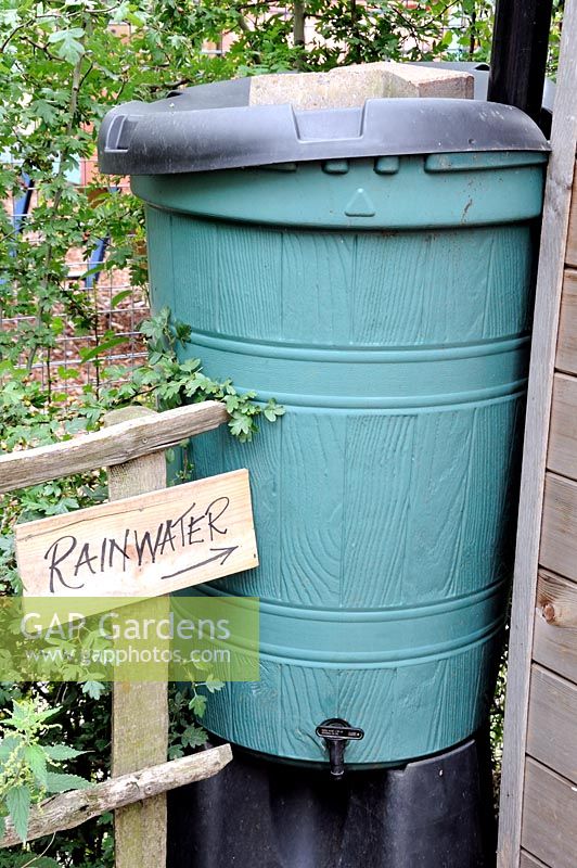 Wooden sign with rainwater written on it pointing to green water butt used for recycling rain water from the shed roof