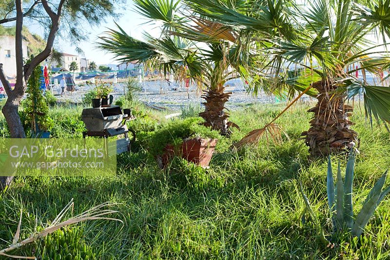 Mediterannean meadow with Palm trees, reused furniture and containers.