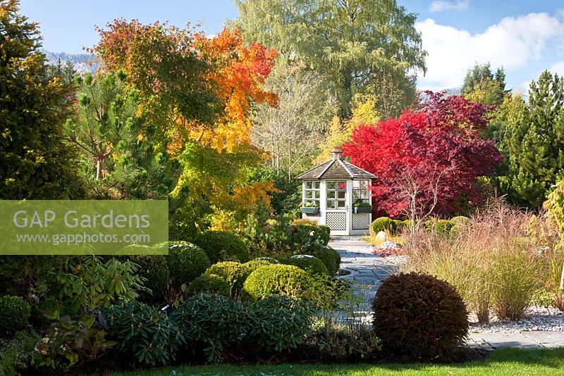 Autumn in a Bavarian garden with  a white painted wooden pavilion and groups of Buxus spheres. Plants include - Acer palmatum, Acer saccharinum, Betula pendula, Miscanthus sinensis, Pinus, Rhododendron, Taxus baccata and Wisteria
