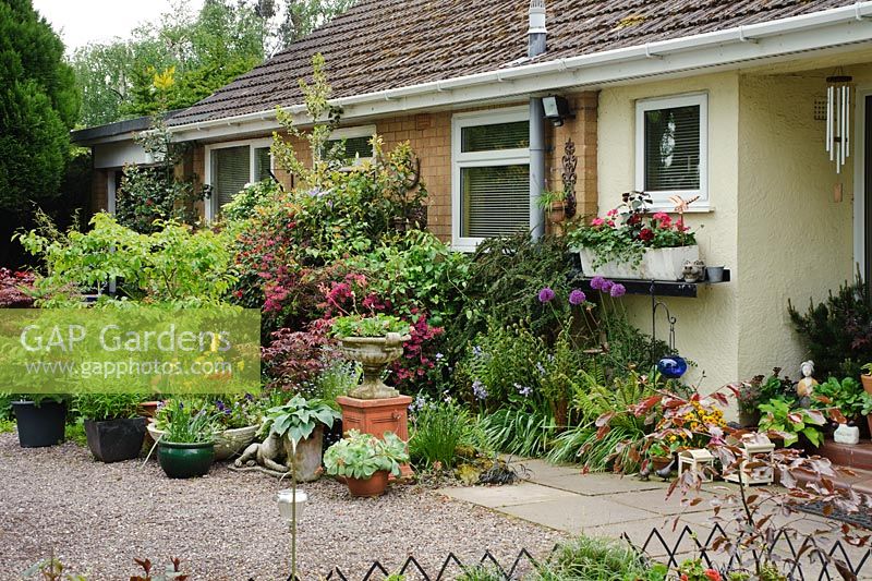 Gravel drive in front of house adorned with plants in containers - The Rowans, Threapwood, Cheshire
 