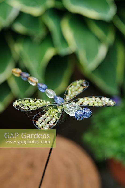 Dragonfly garden ornament - The Rowans, Threapwood, Cheshire 
 