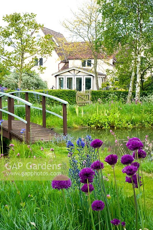 Monet style bridge with meadow and house - Wickets, NGS Essex