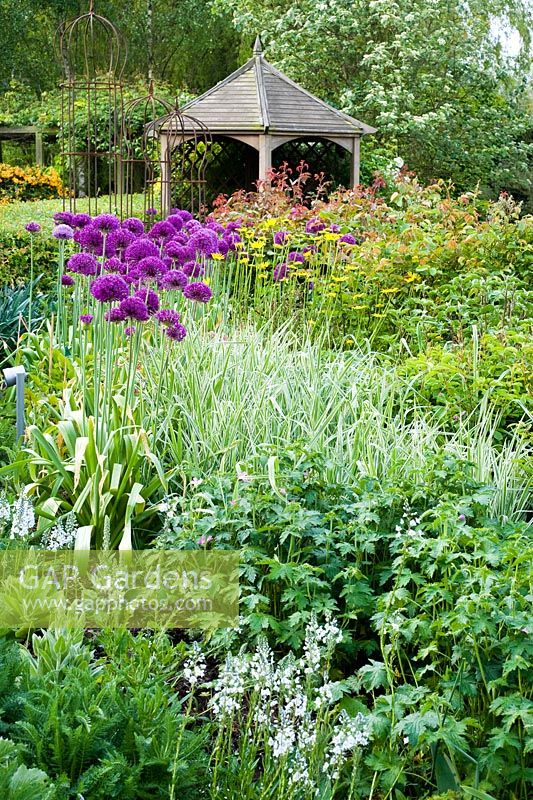 Summerhouse and border with Alliums - Wickets, NGS Essex
