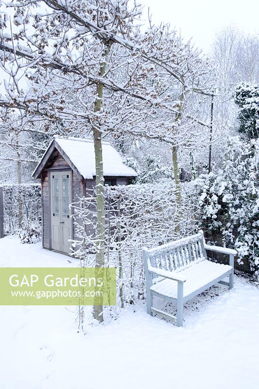 Formal town garden with first snow. Summerhouse, pleached field maples and bench - Cambridge