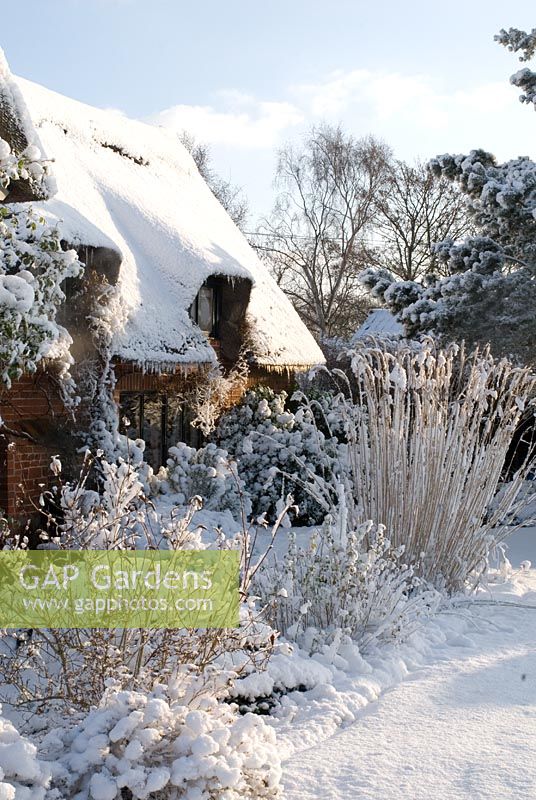 Thatched and brick cottage in the snow. Border includes Spiraea, Potentilla and the grass Miscanthus sinensis 'Silberfeder.'  Gowan Cottage