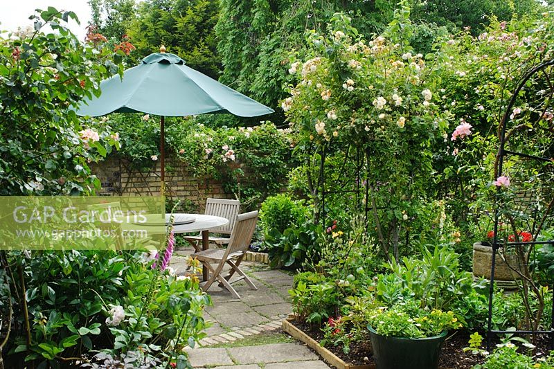 View of secluded corner of a formal town garden with circular patio table, parasol and chairs. Rosa 'Goldfinch'  growing on arch over path - Rhadegund House, New Square, Cambridge