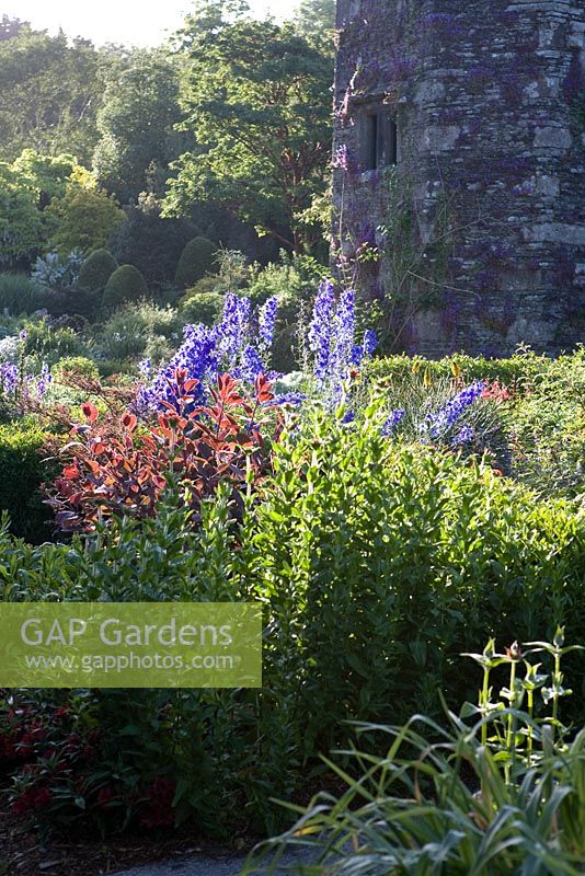 The lower terrace and tower - The Garden House Buckland Monachorum Devon 