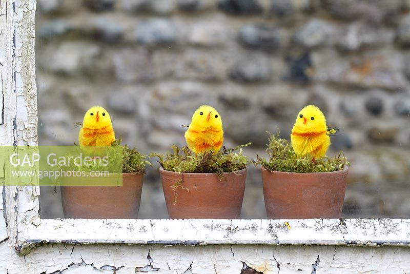 Artificial chicks in moss lined pots on a greenhouse windowsill 