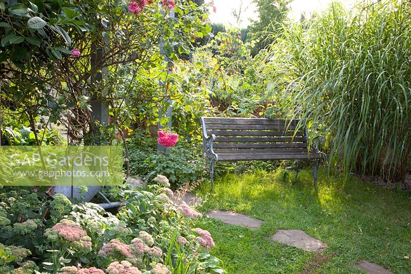 Secluded seating area, plants include Rosa, Sedum 'Herbstfreude', Miscanthus sinensis - Marx Garden 
 
