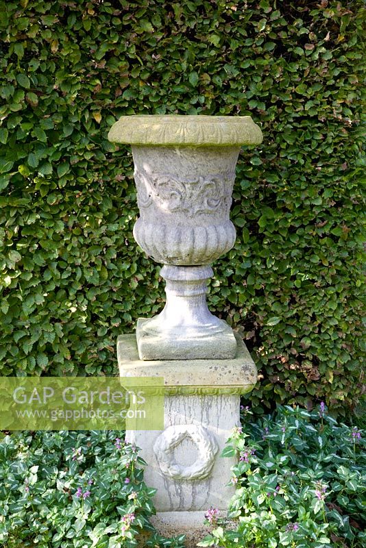 Urn in front of hedge with Lamium maculatum under planted 