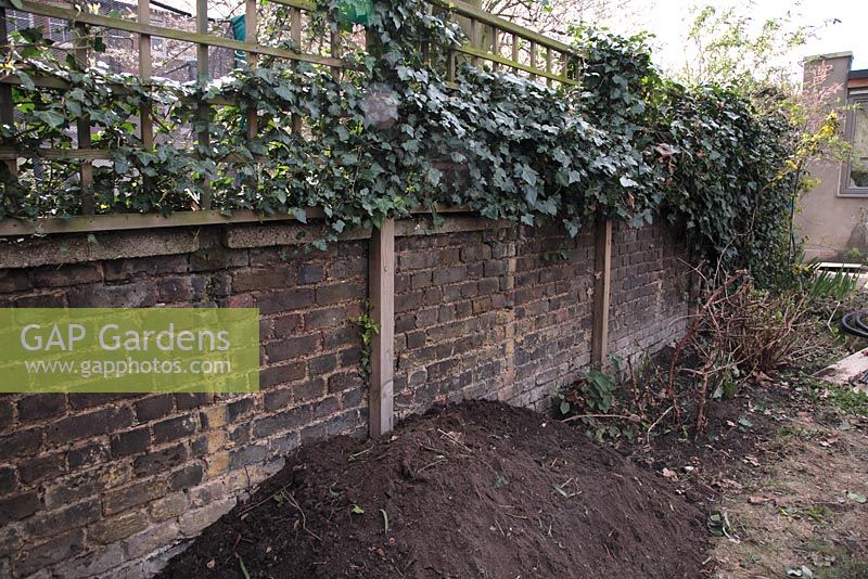 Preparing a border by adding topsoil. Before and after of London town garden