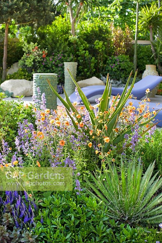 Mediterranean style planting -  Aloe trees, Rosemary, Citrus tree and Geum in  'A Monaco Garden', Gold medal winner, RHS Chelsea Flower Show 2011  