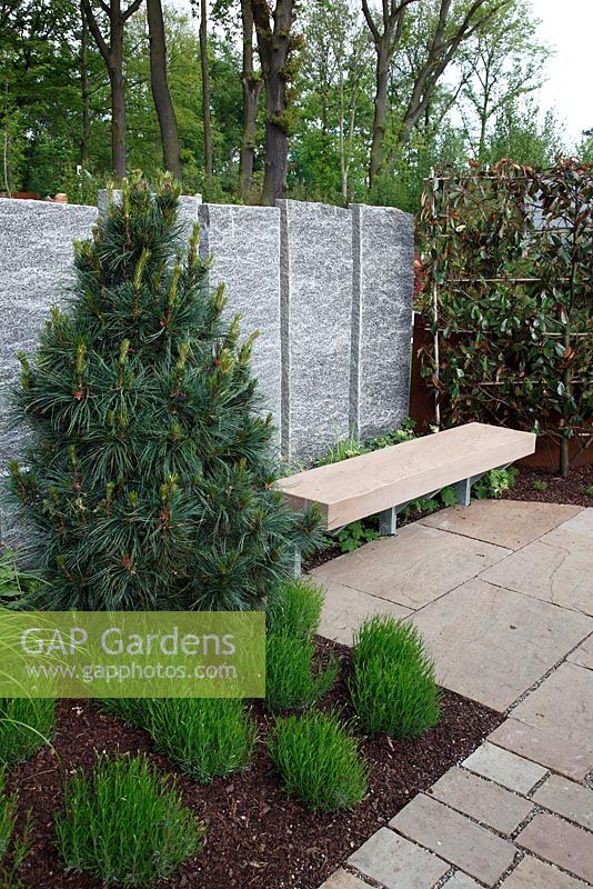 Partition made of granite steles with Pinus - Pine tree and espaliered Photinia