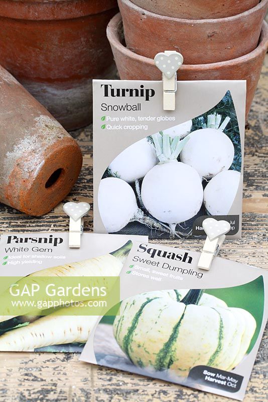 Vegetable seed packets on potting bench with clay flowerpots 