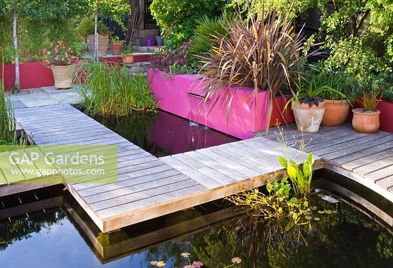 Weathered oak boardwalk around pool with pink rendered wall, Phormium and pleached Pyrus - Pear trees