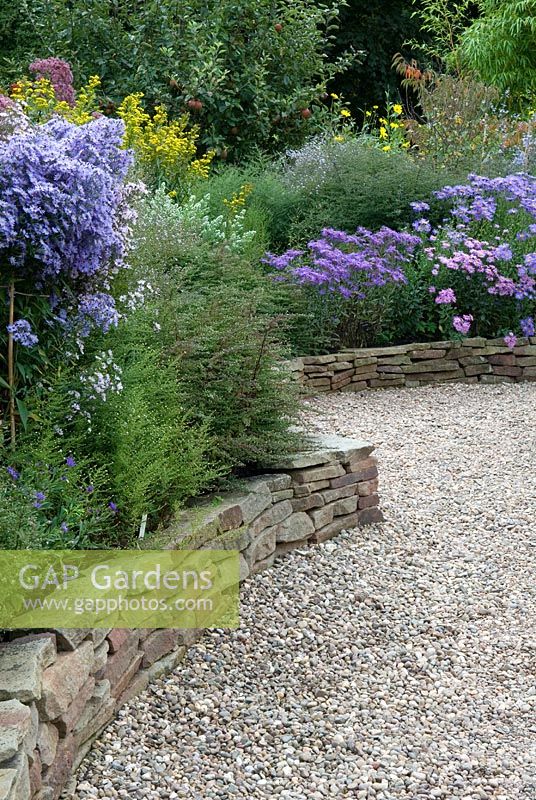 Dry stone walling forming raised borders for Asters and shrubs, with Apple tree in background - The Picton Garden, Colwall, Worcestershire