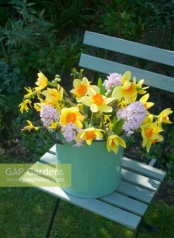 Cut spring flowers - Narcissi, hyacinths and forsythia