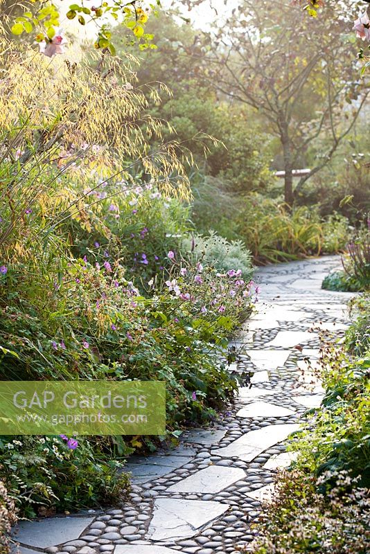 Slate paving and sea washed pebble pathway with Stipa gigantea in the West Country Town Garden - RHS Garden Rosemoor, Great Torrington, Devon, September