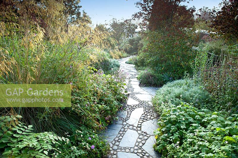 Slate paving and sea washed pebble pathway with Stipa gigantea in the West Country Town Garden - RHS Garden Rosemoor, Great Torrington, Devon, September
