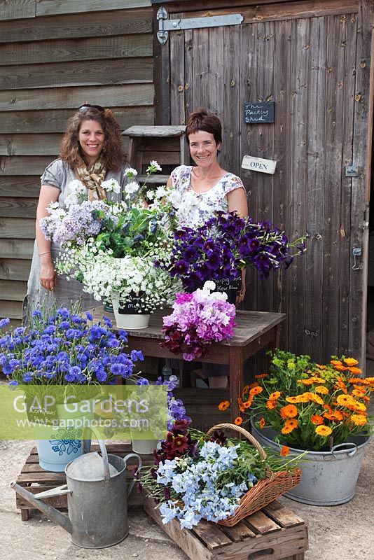 Rachel and Jo with display of flowers outside the packing shed, in buckets, baskets and galvanised tubs on apple crates. Calendula officinalis - Pot marigold, Salpiglossis 'Kew Blue', Campanula lactiflora 'Anna Loddon', Cornflower 'Blue Ball', Sweet Peas, DIll, Ammi majus - Green and Gorgeous 
