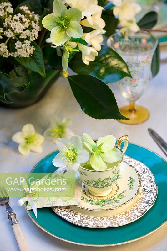 Wedding placement with Hellebores and vintage crockery - Green and Gorgeous 
