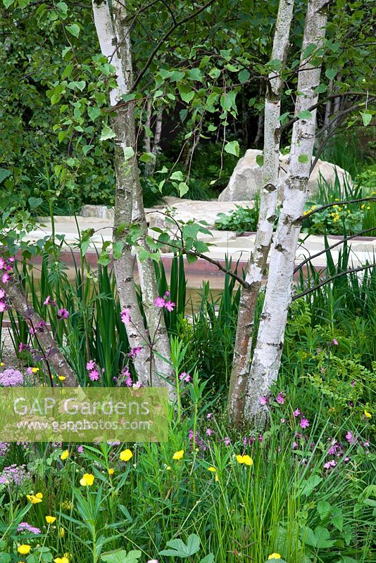 The Telegraph Garden, Design Sarah Price - Sponsor - Telegraph, Chelsea Flower Show 2012