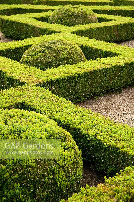 Box parterre in the Pigeon House Garden - Rousham House, Bicester, Oxon, UK
