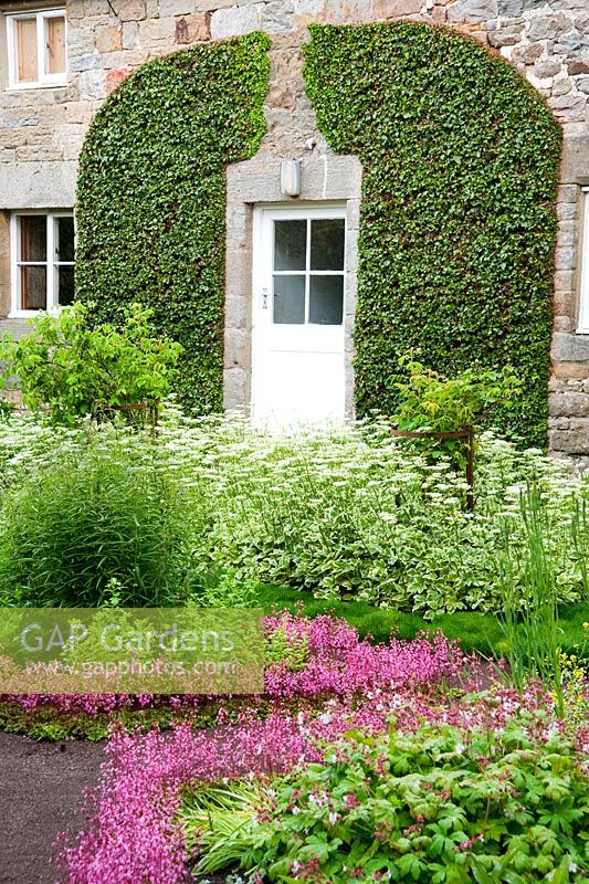 The Physic Garden features beds edged with London Pride, Saxifraga 'Clarence Elliot', and planted with apothecaries plants, Aegopodium podagraria 'Variegatum' - Herterton House, Hartington, Northumberland, UK