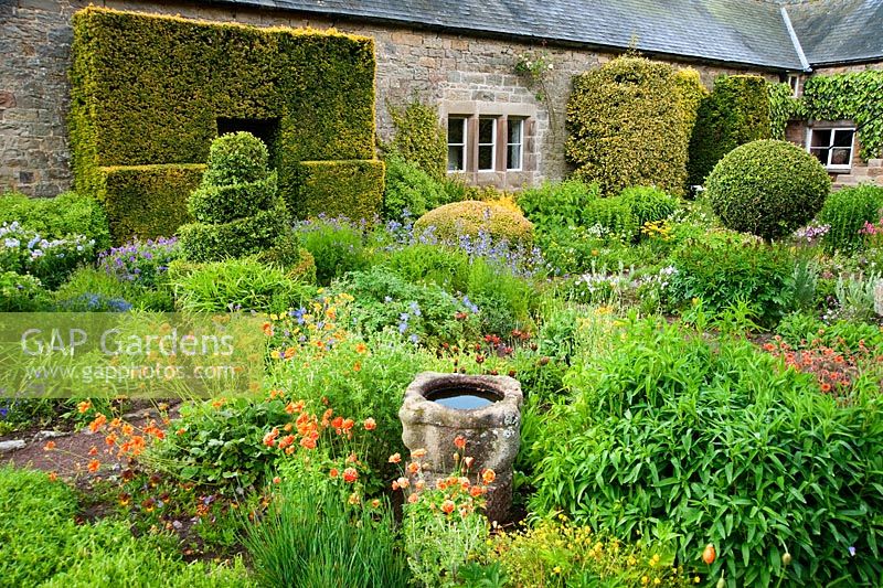 The Flower Garden features strong blocks of box and yew that frame cottage garden plants and flowers, including poppies, Geraniums, Polemoniums and Geum - Herterton House, Hartington, Northumberland, UK