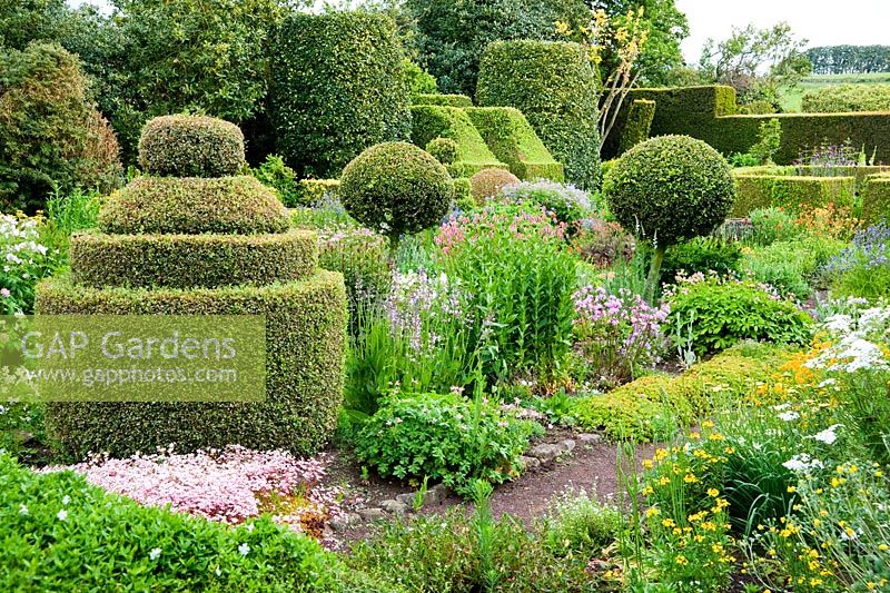The Flower Garden features strong blocks of box and yew that frame cottage garden plants and flowers, including Achillea, Lychnis and Saxifraga - Herterton House, Hartington, Northumberland, UK