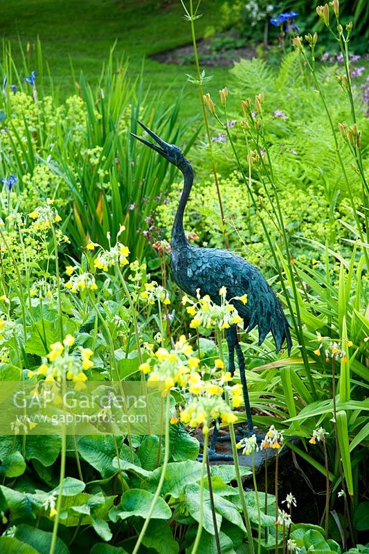 Heron statue beside pond surrounded by Primula grandiflora, Irises, Alchemilla mollis and ferns - Mindrum, nr Cornhill on Tweed, Northumberland, UK