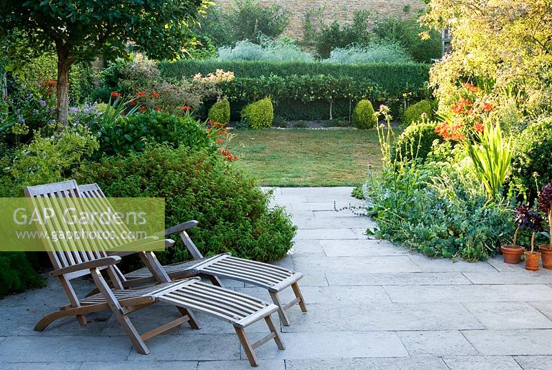Pair of wooden recliners on the terrace surrounded by shrubs including Cistus, clipped bay, Parahebe perfoliata and Rosa glauca. Beyond are hen topiary shapes clipped from Lonicera nitida 'Baggesen's Gold' - Yews Farm, Martock, Somerset, UK