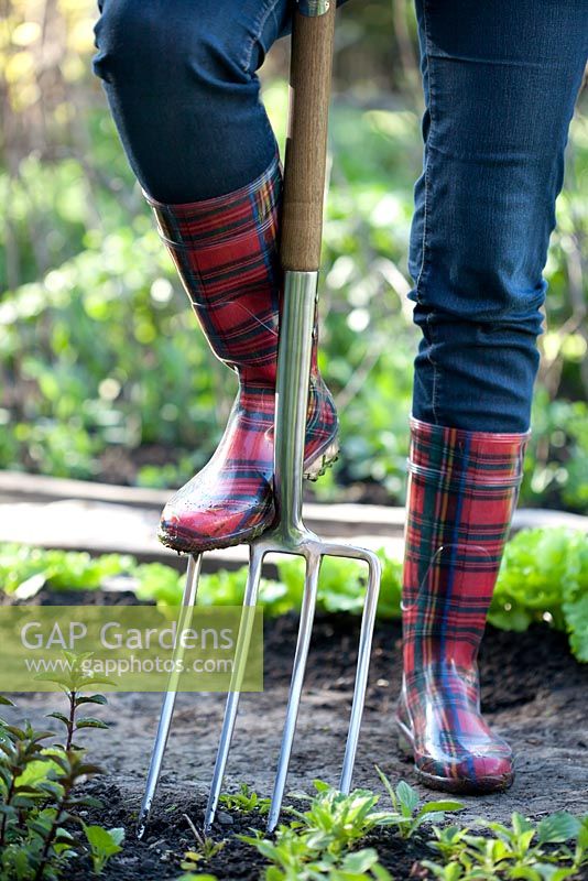 Woman in red wellies with stainless garden fork 