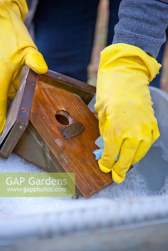 Cleaning a bird house in hot soapy water - inside and out
