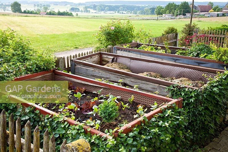 Raised beds with vegetables and compost - Hollberg Gardens 