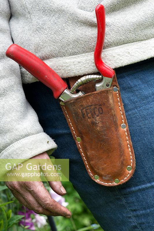 Female Gardener wearing secateurs in a pouch on her belt