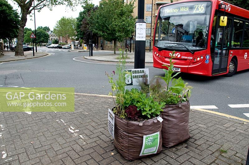 Pop-up Garden Mildmay, two builders bags full of plants with urban greening sign and passing bus, Islington - Chelsea Fringe Festival, London 2012 
