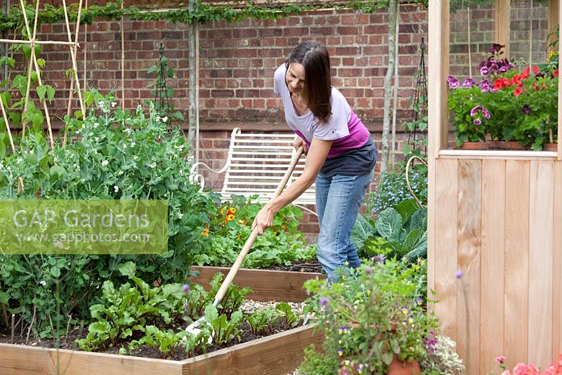 Woman hoeing raised vegetable bed